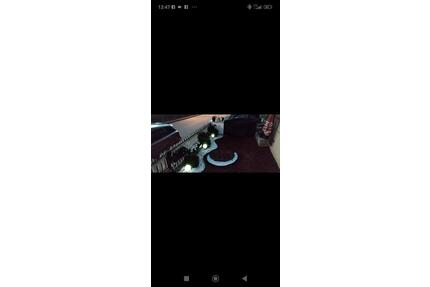 Modernes Einfamilienhaus mit Terrasse & Garten – 93188 Pielenh - Pielenhofen