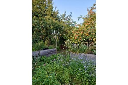 Gepflegter Kleingarten in Neuruppin mit Laube, Strom und Wasser