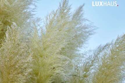 Grundstück zu verkaufen in Rheinstetten 390.000,00 € 470 m²