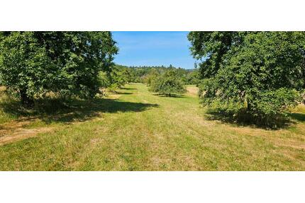 Verpachte Freizeit-Grundstücke in Aichtal Aich, Obstbäumen, ...