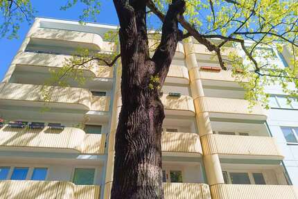 Wohnung zum Kaufen in Berlin 299.000,00 € 50 m²
