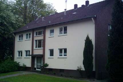 Wohnung zum Mieten in Ahlen 394,00 € 51.59 m²