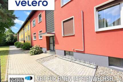 Wohnung zum Mieten in Gelsenkirchen 375,00 € 55 m²