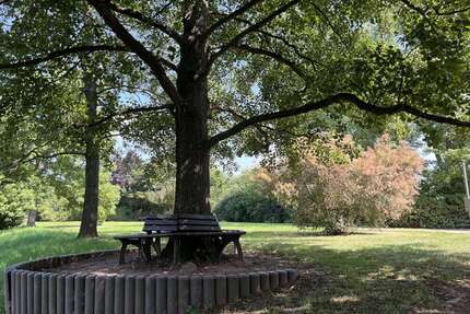 Wohnung zum Mieten in Zwickau 449,00 € 90 m²