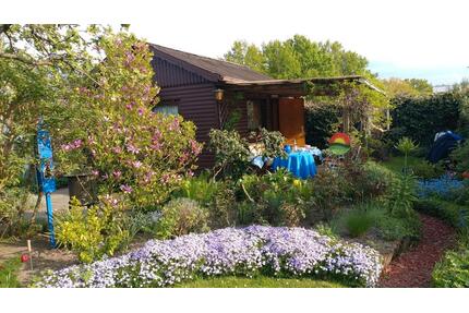 Schrebergarten - 3.500,00&nbsp;EUR Kaltmiete, ca.&nbsp; 0,00&nbsp;m&sup2; in Braunschweig (PLZ: 38120) Timmerlah-Geitelde-Stiddien
