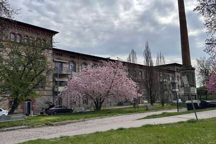 Wohnung zum Mieten in Calbe 300,00 € 43.32 m²