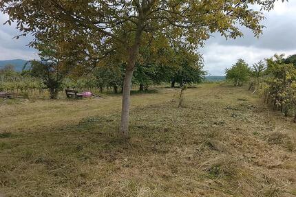 Gartengrundstück Freizeitgrundstück ZU VERMIETEN - Endingen am Kaiserstuhl