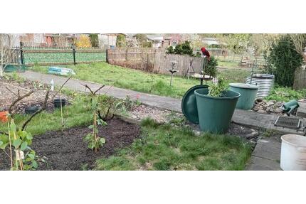 Kleingarten - 2.500,00&nbsp;EUR Kaltmiete, ca.&nbsp; 0,00&nbsp;m&sup2; in Senftenberg (PLZ: 01968)