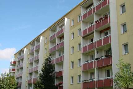 Wohnung zum Mieten in Zeitz 305,00 € 60 m²