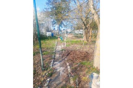 Garten zum mitgärtnern Gemeinschaftsgarten - Darmstadt Darmstadt-Ost