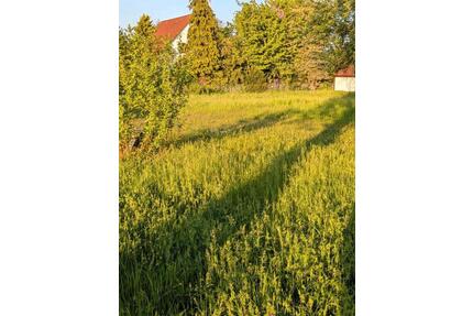 Wiese, Tierfutter, 04463 Großpösna - Leipzig Ost