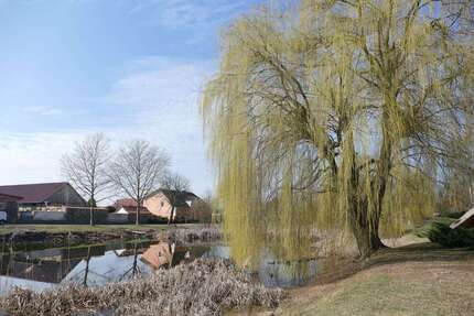 Grundstück zu verkaufen in niederjesar 60.000,00 € 2986 m²