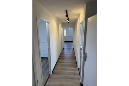 Wohnung zum Mieten in Limeshain 750,00 € 50 m²