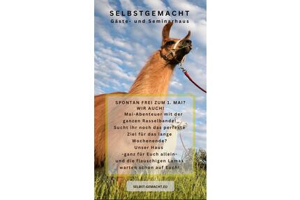 FREI zum 1. Mai! Ganzes Gästehaus für Euch + Lama-Erlebnis - Zeulenroda-Triebes