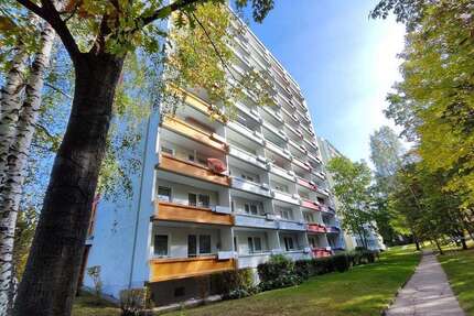 Wohnung zum Mieten in Chemnitz 246,00 € 36.12 m²