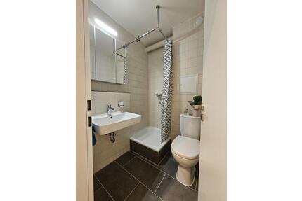 NEU renovierte 1-Zi Whg voll möbliert - Passau Maierhof