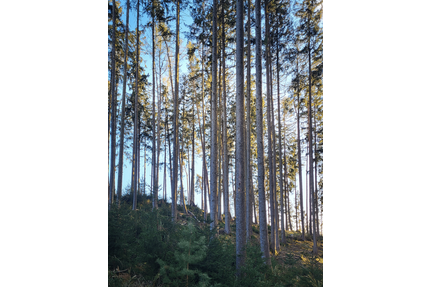 Grundstück in Wolfersdorf 177.820,00 € 20920 m²