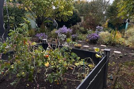 Kleingarten Probstheida - 350 qm, Laube, Strom, WC - Leipzig Mitte