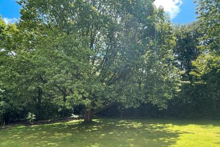 ETW Bad Oeynhausen-Werste | 2 Zimmer | EG | Loggia | Stellplatz