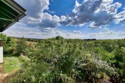 Haus zum Kaufen in Lorch 199.000,00 € 248 m²
