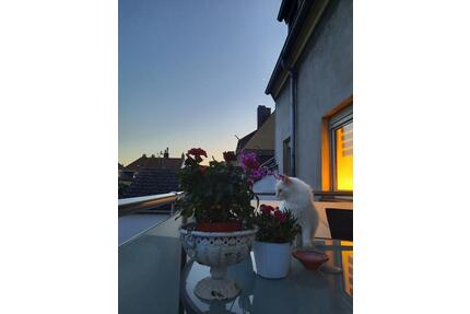 Moderne 3 Zimmer Wohnung ab 01.06.26 SB - Saarbrücken Malstatt