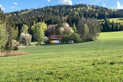 LIEBHABER - ALLEINLAGE - 549.000,00&nbsp;EUR Kaufpreis, ca.&nbsp; 245,00&nbsp;m&sup2; in Kirchberg im Wald (PLZ: 94259)