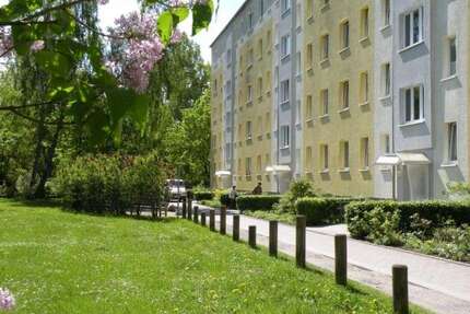 Wohnung zum Mieten in Stralsund 389,25 € 60.82 m²