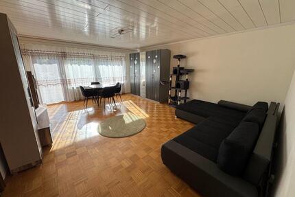 2-Zimmer-Souterrain- Wohnung - 595,00&nbsp;EUR Kaltmiete, ca.&nbsp; 67,00&nbsp;m&sup2; in Mespelbrunn (PLZ: 63875)