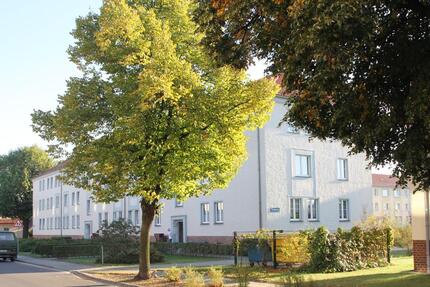 Helle 3-Zimmer-Wohnung im Lausitzer Seenland - Altdöbern