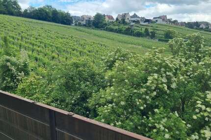 Wohnung zum Kaufen in Stuttgart 210.000,00 € 66 m²