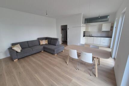 Erstvermietung nach Sanierung – Möblierte 3-Zi-Wohn.-Barrierefrei - Reinheim