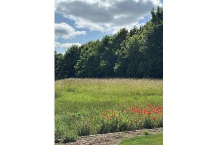 Baugrundstück in Niederwerrn - Ortsrand