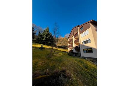 2Zi Wohnung zum Verkauf - 169.500,00&nbsp;EUR Kaufpreis, ca.&nbsp; 68,00&nbsp;m&sup2; in Unterreichenbach (PLZ: 75399)