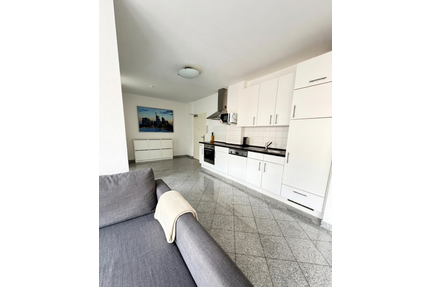 Wohnung zum Mieten in Frankfurt am Main 1.240,00 € 50 m²