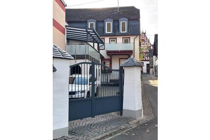 Wunderschönes altes Winzerhaus direkt an der Mosel in Ellenz - Ellenz-Poltersdorf