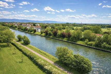 Wohnung zum Kaufen in Ilvesheim 239.000,00 € 78 m²