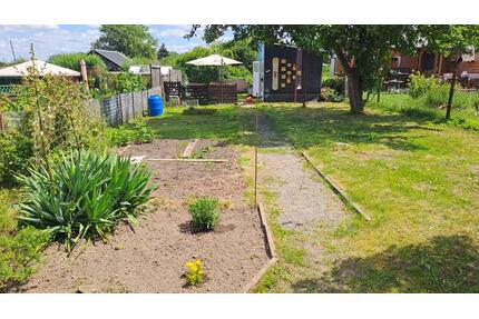 *ANFRAGESTOPP* Kleingarten abzugeben 50€ - Chemnitz Hilbersdorf