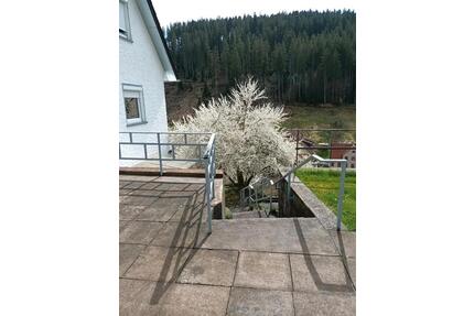 Haus mit großem Grundstück zu verkaufen - Altensteig