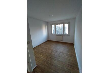 3 Raumwohnung Beilrode - hell und geräumig