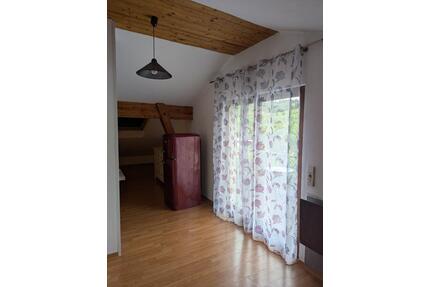Schönes Appartment im Weingut. Rotenberg. Option plus ein Zimmer - Stuttgart Luginsland