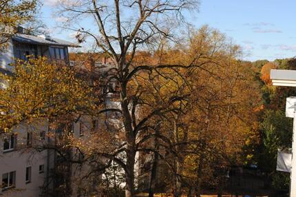 von Privat provisionsfrei 2 Zimmerwohnung Grunewald am Halensee - Berlin Charlottenburg-Wilmersdorf