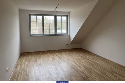 Individueller Dachtraum, liebevoll saniert! Fußbodenheizung, Wohnküche, Parkett! - Pirna
