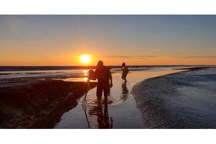 Ferienwohnung direkt am Deich Nordsee Jadebusen
