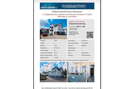 1-Zimmer Wohnug in Neuhausen, Steinegg