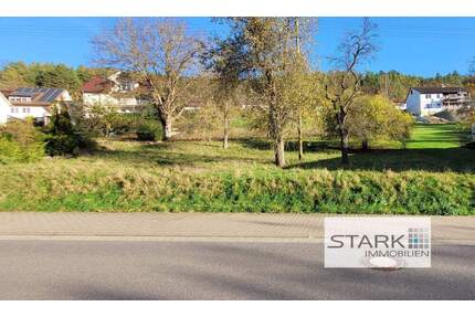 Sonniges Grundstück in ruhiger Ortslage von Grünsfeld-Hausen!