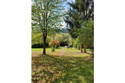 Vermietetes Hotelapartment mit Gartenzugang in Viechtach