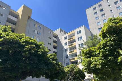 Wohnung zum Kaufen in Laatzen 228.350,00 € 98 m²