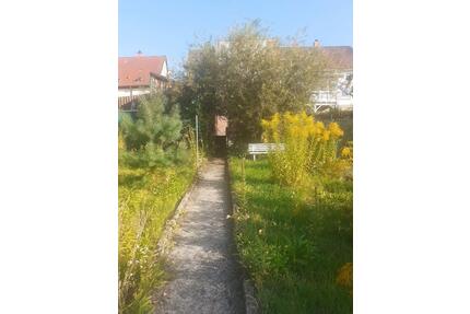 Ohne Provision! Wohn-Gesch.haus. o. 1-2 FH, 194 qm,440m²,Garten - Hochspeyer