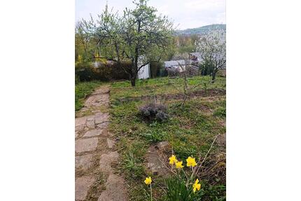 schöner Pachtgarten mit Prachthütte abzugeben - Eisenach