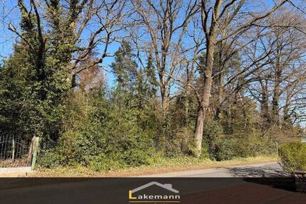 Eystrup: Traumgrundstück in Hanglage – Ruhe, Natur & zentrale Lage vereint